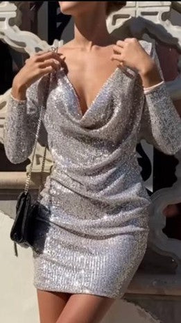 Beige Silver Cowl Neck Long Sleeve Fitted Short Venti Dress 12/27/23 7824