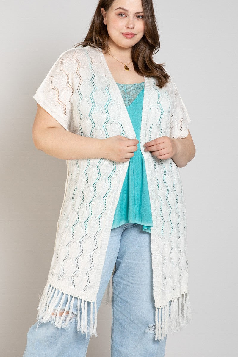 Whipped Plus Fringe Edge Long Open POL Cardigan 2/20/23 5637