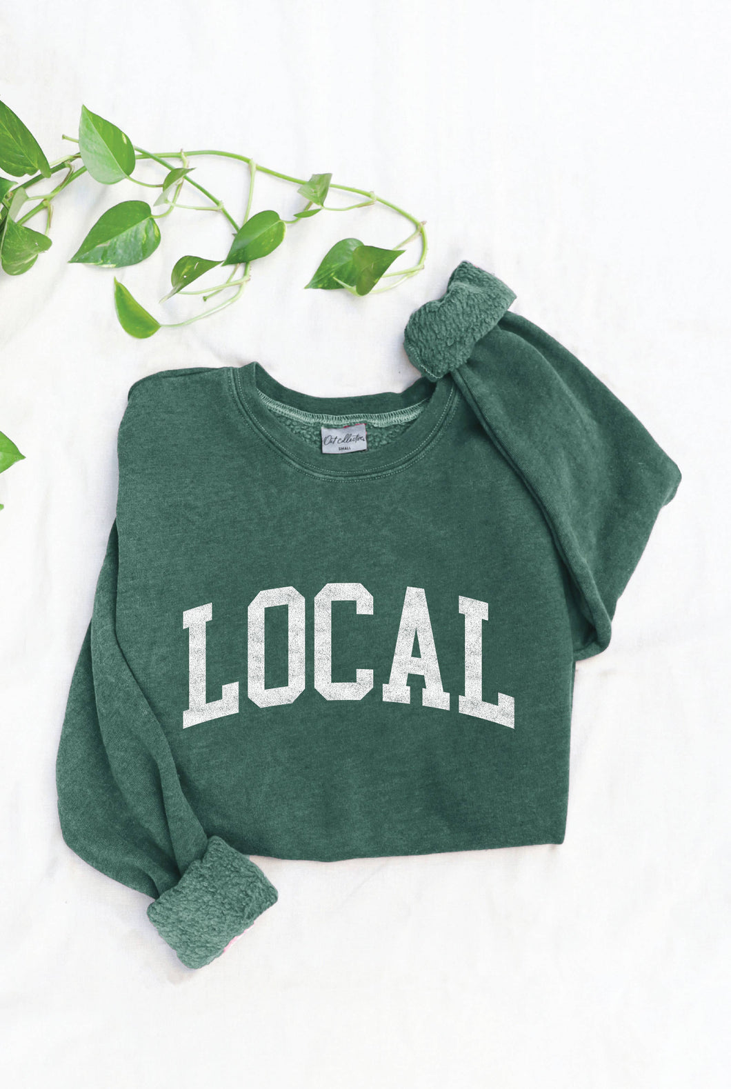 Dusty Forest Local Mineral Washed Graphic Sweatshirt