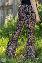 Meshed Up Leopard Long Pants: