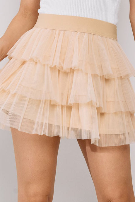 Taupe Tulle Mesh Skirt 7/22/25 1050