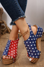 Multi Contrast Stars Print Wedge Sandal 6/19/23 6444