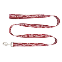 NCAA Indiana Hoosiers Pet Team Lead