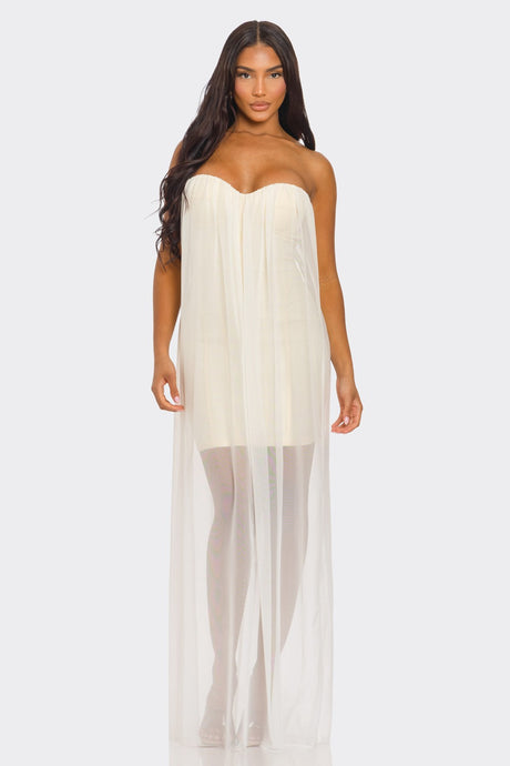 Cream Luxe Corset Mesh Overlay Dress 3/27/26 1268