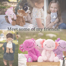 Pugs Pig Plush Toy for Kids