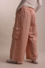 Powder Coral Striped Wide Leg Blue Velvet Cargo Pants 5/28/26 1309