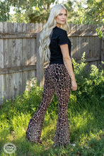 Meshed Up Leopard Long Pants: