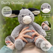 Darly Donkey Plush Toy