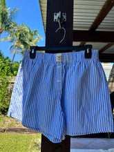 Blue Stripes Everyday Sunkissed Boxer Shorts