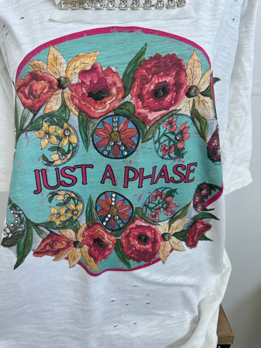 It's Just a Phase Tattered Rare Bird Shirt