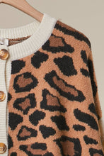 Multi Bold Stripe and Leopard Cardigan