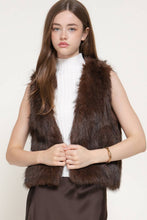 Brown V-Neck Two Tone Faux Fur Vest