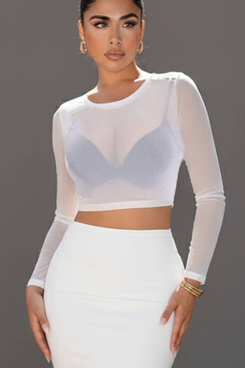 White Solid Mesh Sheer Crop Top