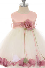 Ivory Dusty Rose Top Flower Petal Baby Dress with Sash