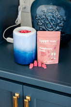 Raspberry Rose Wax Melts - Sample Pouch (2 oz)