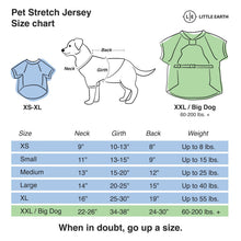 NFL Indianapolis Colts Pet Stretch Jersey