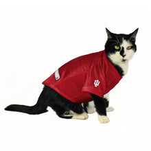NCAA Indiana Hoosiers Pet Stretch Jersey