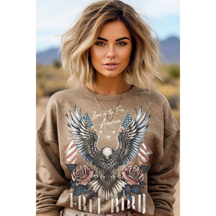Mineral Taupe Land of The Free America Mineral Graphic Sweatshirt