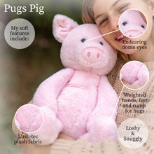 Pugs Pig Plush Toy for Kids
