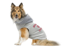 NCAA Indiana Hoosiers Pet Hooded Crewneck: TC