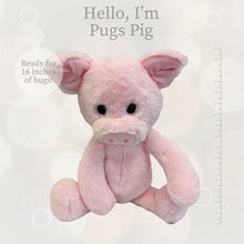 Pugs Pig Plush Toy for Kids