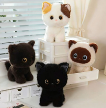9 inch Premium minky Weighted Cat Plush Toy