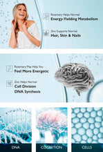 IQ3 NeuroClean NeuroProtect® Cognitive Function AntiOxidants: 90 Count