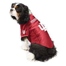NCAA Indiana Hoosiers Pet Stretch Jersey
