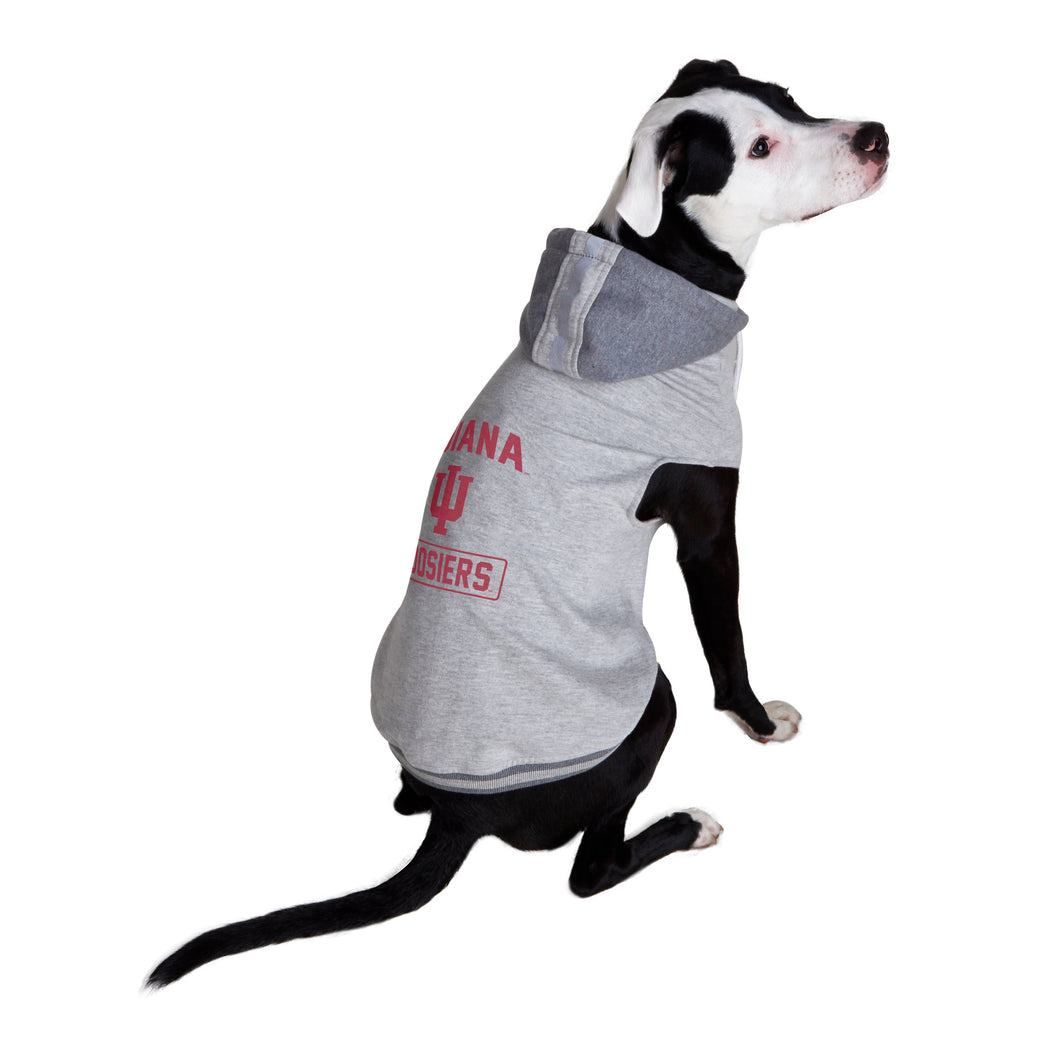 NCAA Indiana Hoosiers Pet Hooded Crewneck: TC