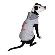 NCAA Indiana Hoosiers Pet Hooded Crewneck: XL