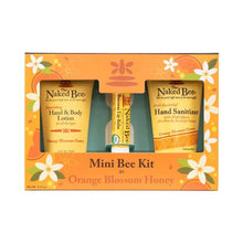 Orange Blossom Honey Mini Bee Kit