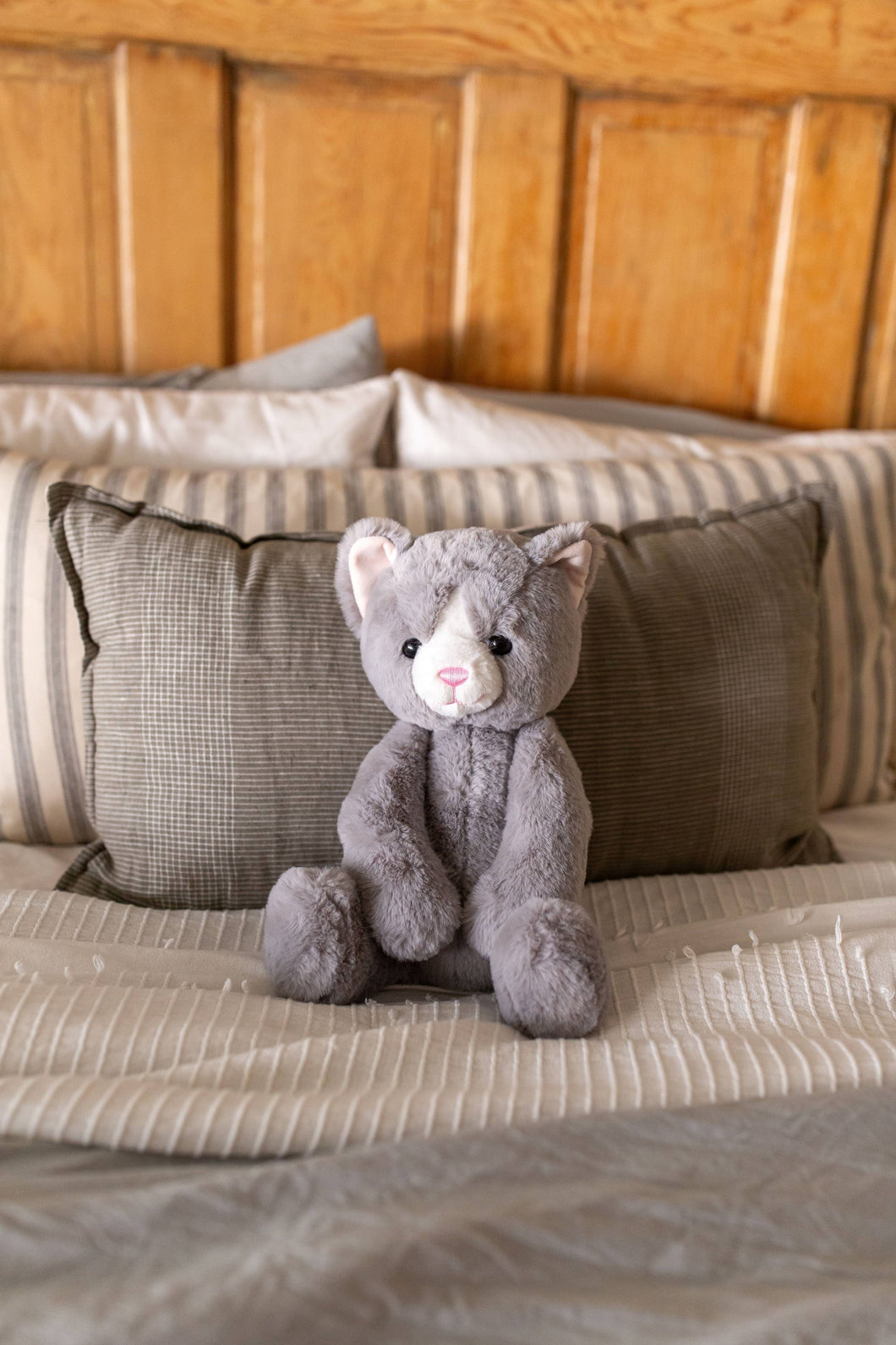 Karing Kitten Gry Plush Toy