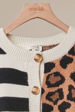 Multi Bold Stripe and Leopard Cardigan