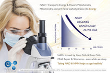 NMN & NAD+ Sublingual Powder  >99.5% Purity: Energise-X 40g NMN NAD CoQ10 Vit A D3 K2 B2 B5 B6 B7 B9 B12 Copper Chromium Manganese Selenium Iodine