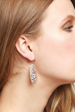 Hematite Oval Glitter Stone Hook Earrings