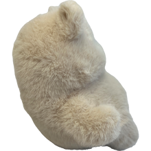 Chunka Dunkas Bear Plushie