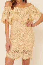 Butter Lace Flounce Ruffle Zipper Back Mini Dress