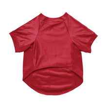 NCAA Indiana Hoosiers Pet Stretch Jersey