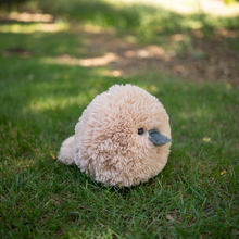Fluffees Platypus 10" Plushie