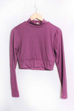 Berry Conserve Long Sleeves Mock Neck Solid Crop Top