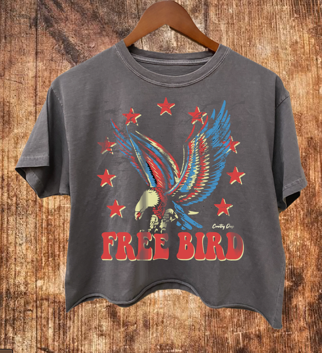 Charcoal Free Bird 22 Vintage Relaxed Crop T-shirt