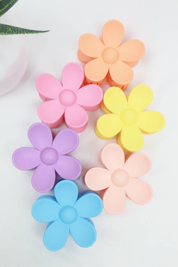 Pastel Daisy Matte Hair Claw