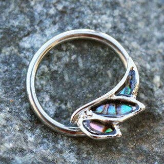 316L Stainless Steel Abalone Shell Angel Wing Snap-in Captive Bead Ring / Septum Ring
